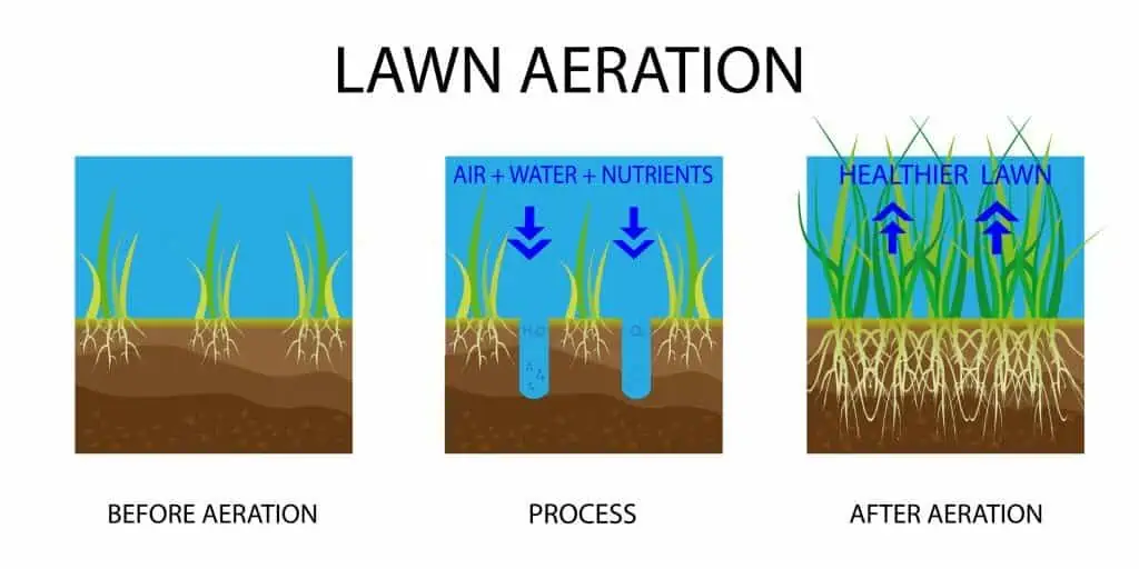 Learn about the innovation of liquid aeration and how it can boost your lawn's health.