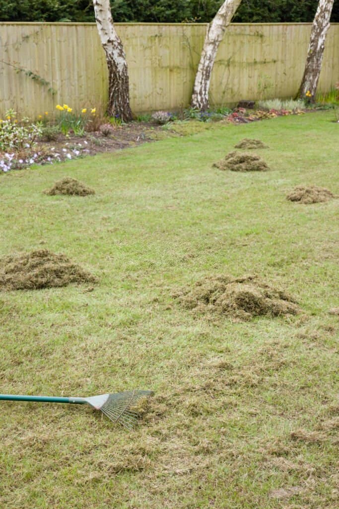 CLS Lawn & Pest can handle all lawn care and treatment applications. Our professionals understand the unique needs of your lawn and can recommend the best solutions.