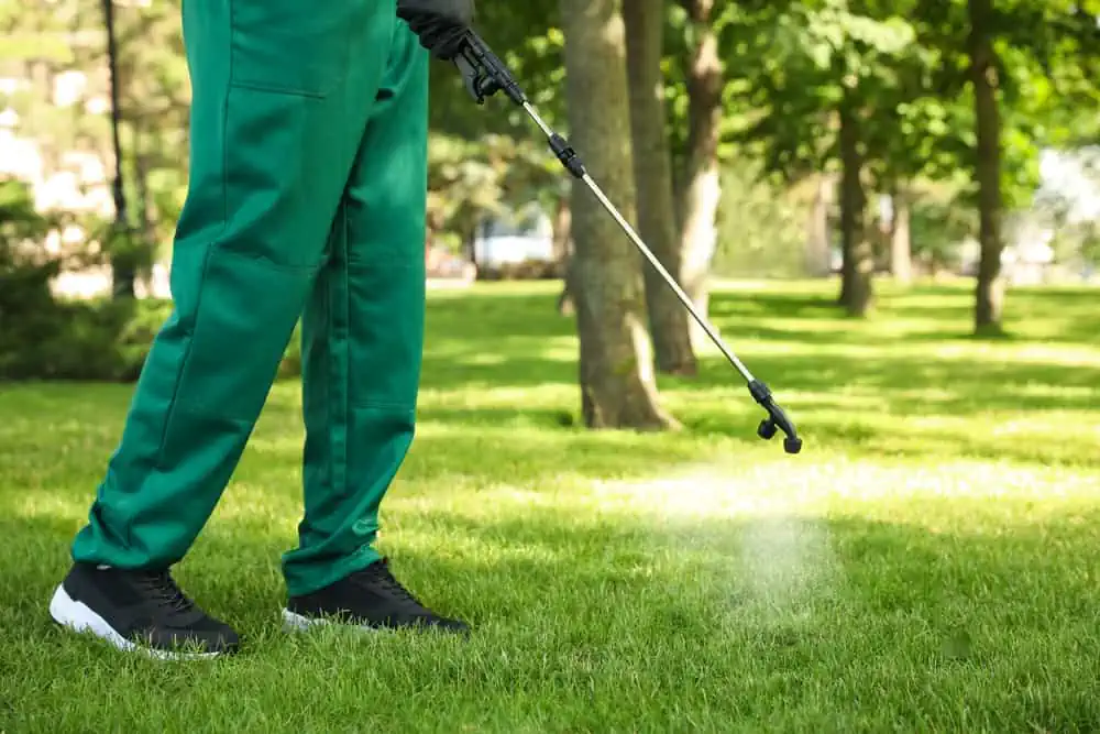 The best in outdoor pest control services tailored to improve the health of your Texas lawn.