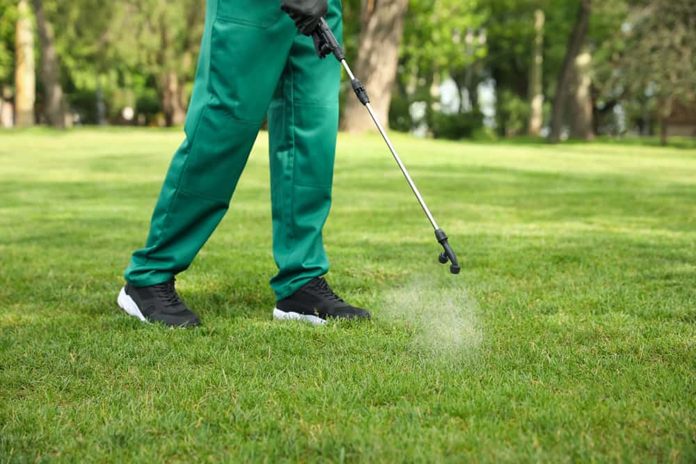 Improve your Texas lawn with liquid aeration. Get answers to your lawn care questions at CLS Lawn & Pest.