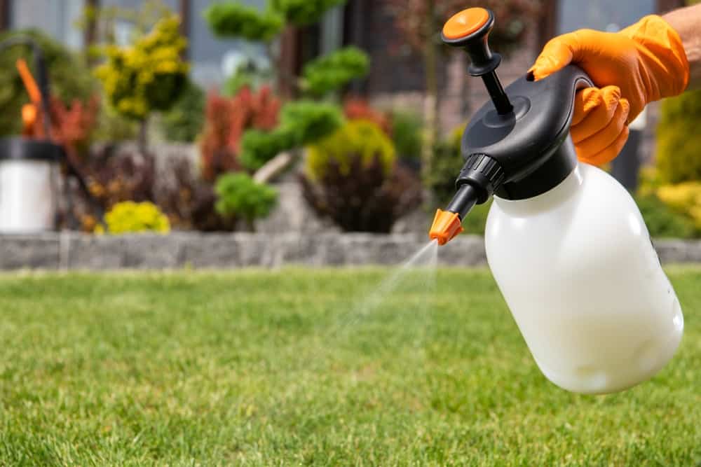 Discover the benefits of our Conroe, TX, lawn care & outdoor pest control with CLS Lawn & Pest.