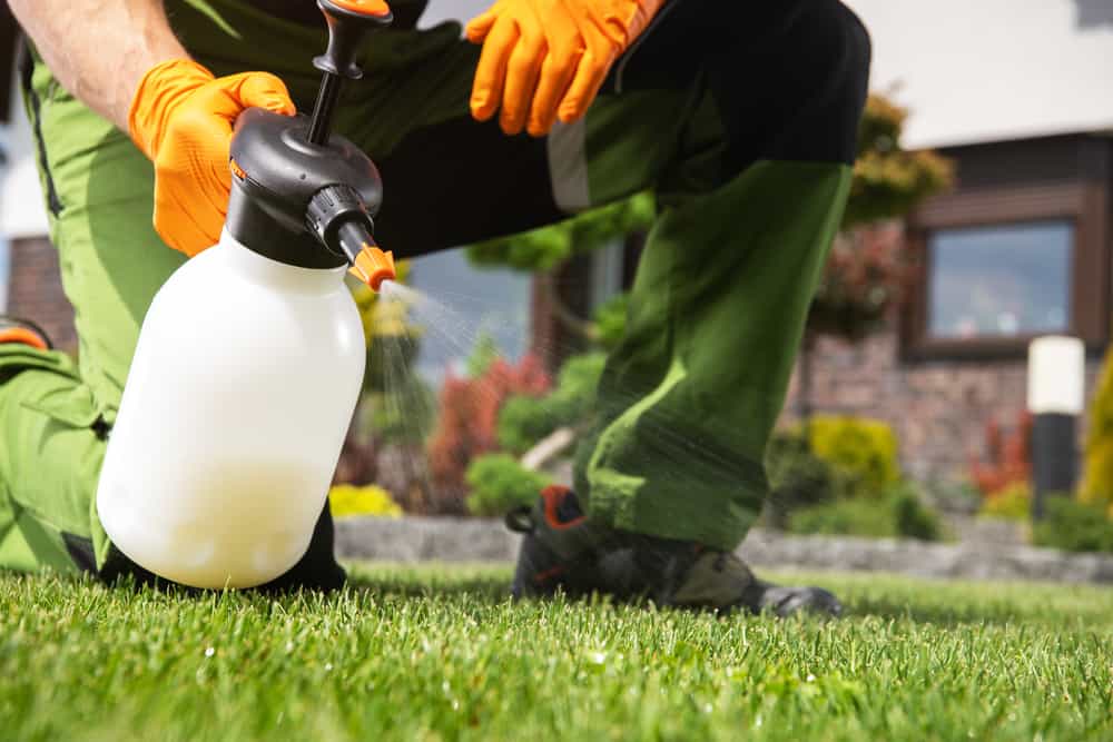 Choose CLS Lawn & Pest for your Sugar Land lawn care and outdoor pest control needs. 