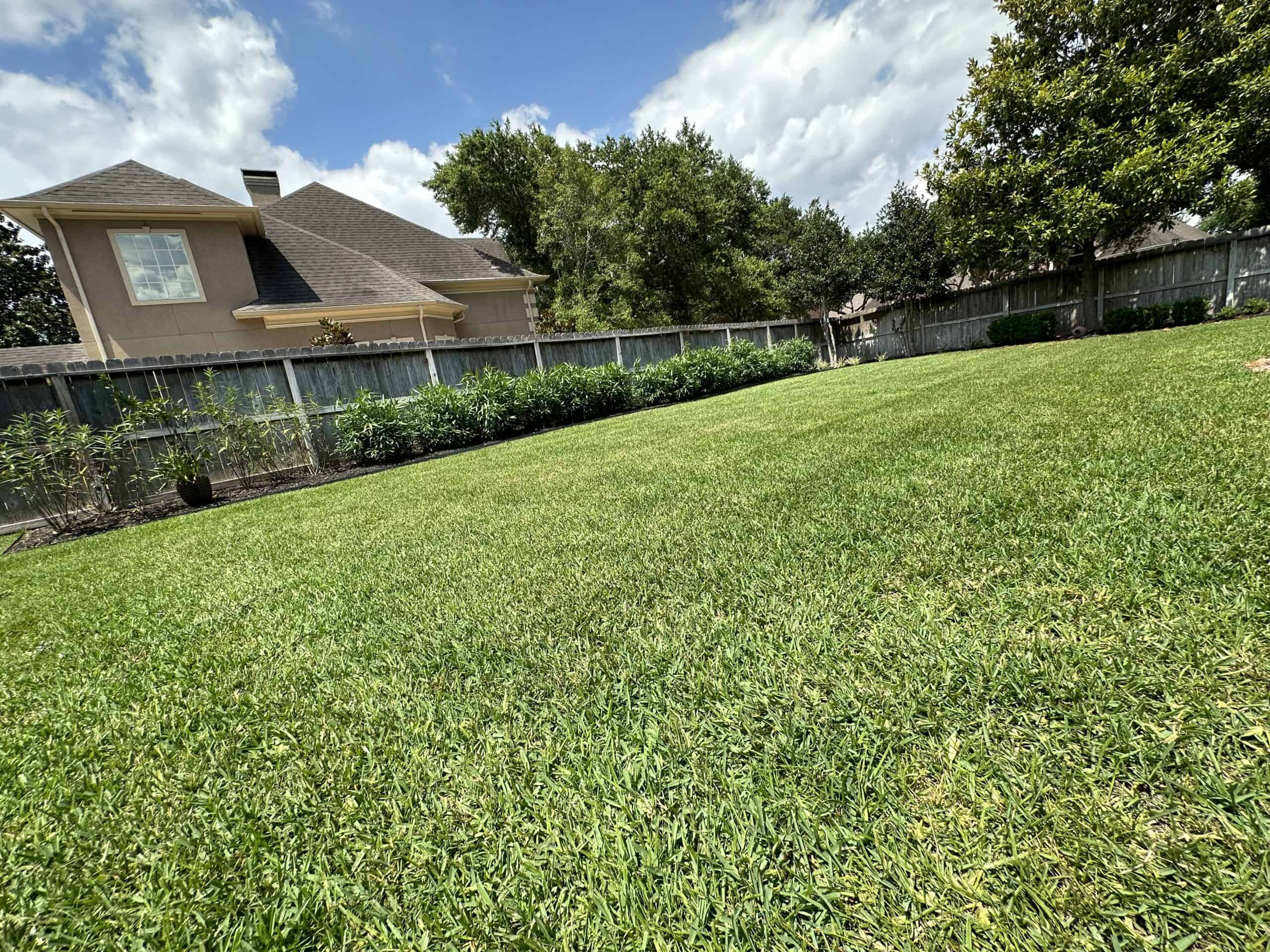 Experience the beauty of an aerated lawn in The Woodlands, Conroe, and Spring, TX. 