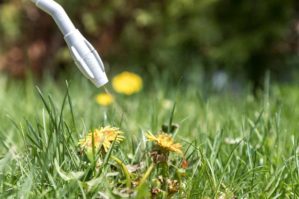 Why choose CLS Lawn & Pest for your Cinco Ranch, TX property? Our lawn care and pest control services ensure your outdoor space is healthy year-round.