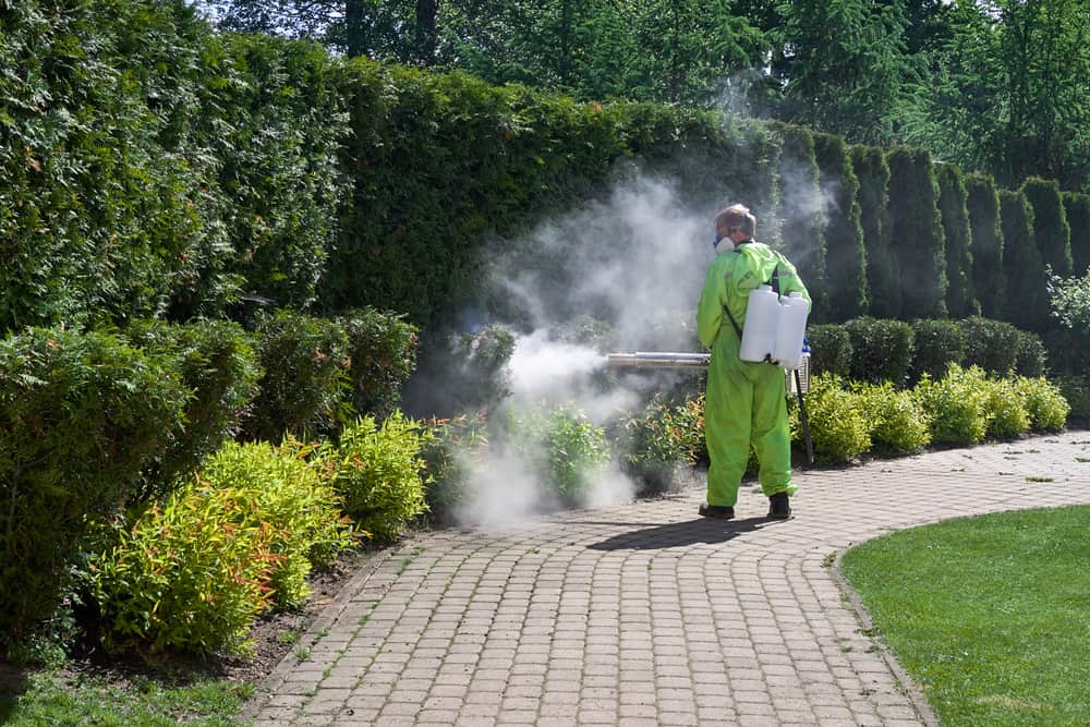 Invest in the health and beauty of your Cypress, TX, lawn by choosing CLS Lawn & Pest for professional lawn care and outdoor pest control services