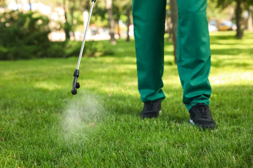 Say goodbye to pests and lawn troubles with CLS Lawn & Pest effective solutions.
