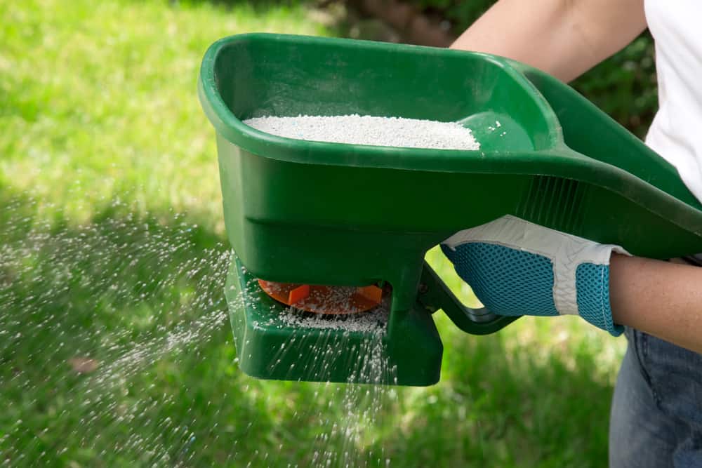 Explore our lawn care services in Cypress, TX, including liquid aeration, dethatching, lawn treatments, and fungus management. 