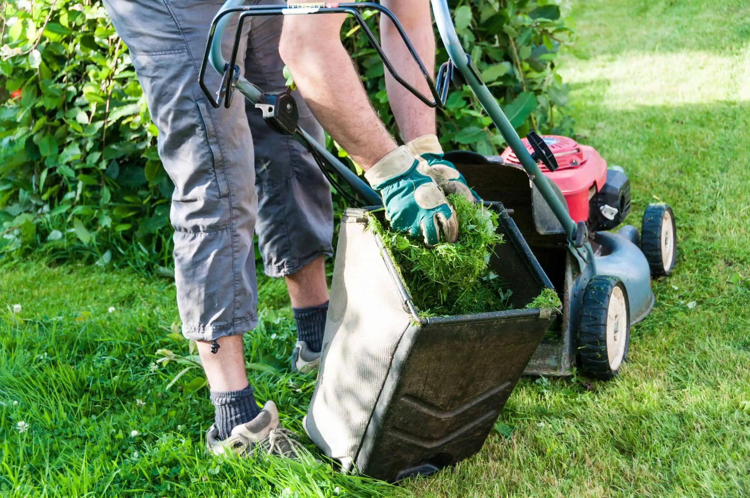 Effective weed control involves mulching, aeration, fertilizer, and other lawn care strategies